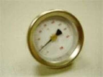 REME THERMOMETER D40 ROOD